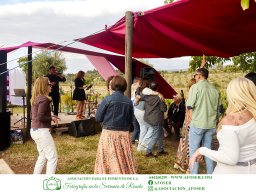 Festival Mar de Tethys 2026 - Bodega Vetas